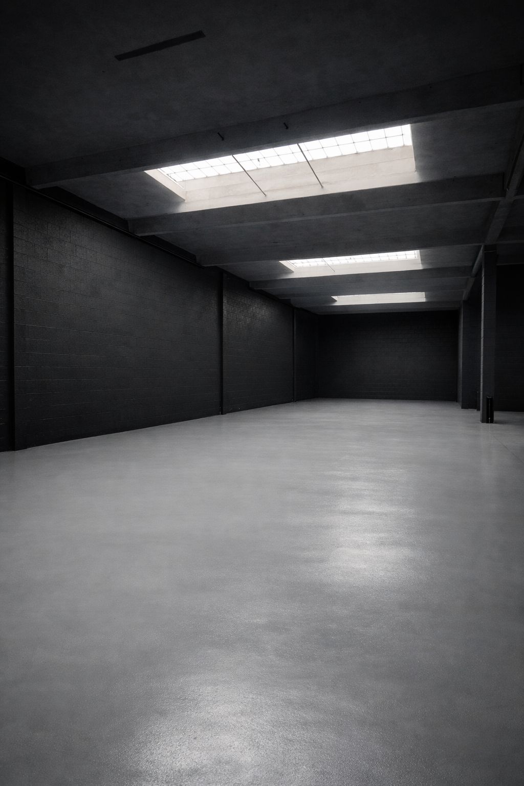 Intérieur sombre du lot 611 avec puits de lumière zénithale.